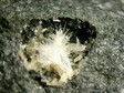 aragonite